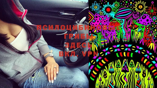 ГАЛЛЮЦИНОГЕННЫЕ ГРИБЫ Липки