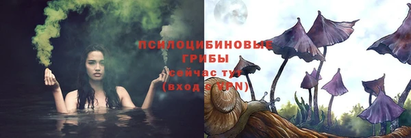 ГАЛЛЮЦИНОГЕННЫЕ ГРИБЫ Липки