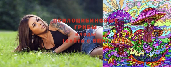герыч Лиски