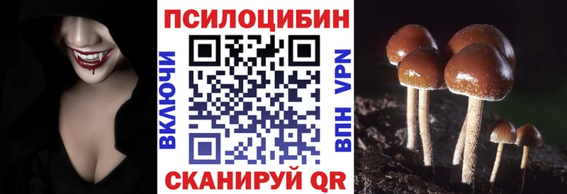 Купить  Сысерть  Галлюциногенные грибы мицелий 
